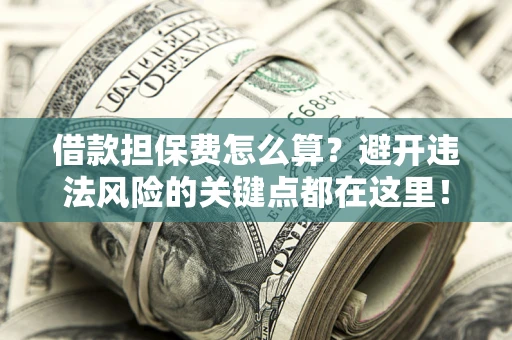 济南借款担保费怎么算？避开违法风险的关键点都在这里！