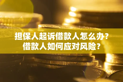 济南担保人起诉借款人怎么办？借款人如何应对风险？